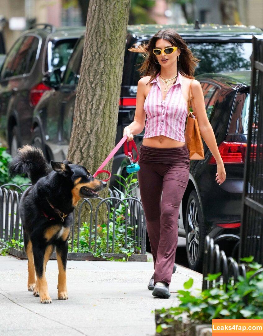 Emily Ratajkowski / emrata слитое фото фото #5523