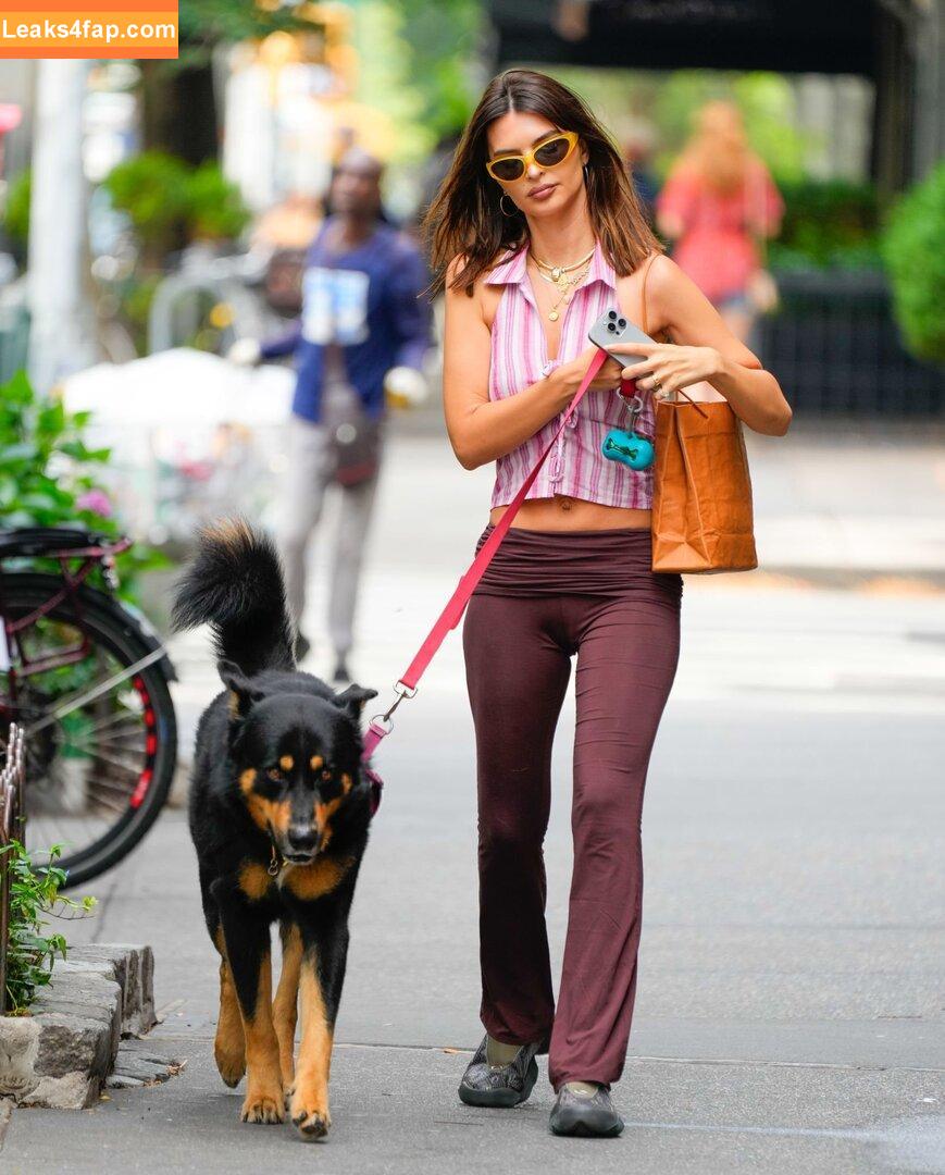 Emily Ratajkowski / emrata слитое фото фото #5528