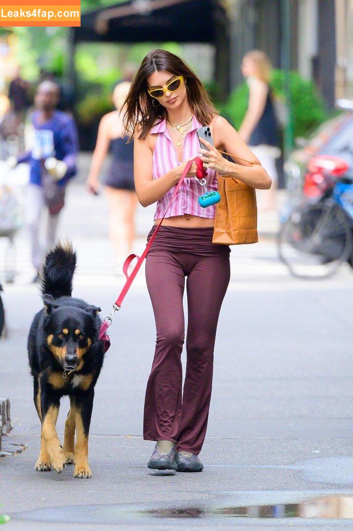 Emily Ratajkowski / emrata leaked photo photo #5529