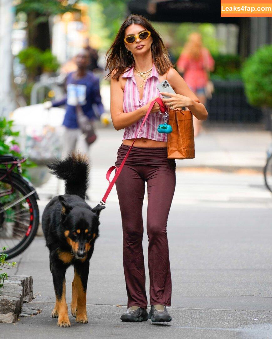 Emily Ratajkowski / emrata слитое фото фото #5537