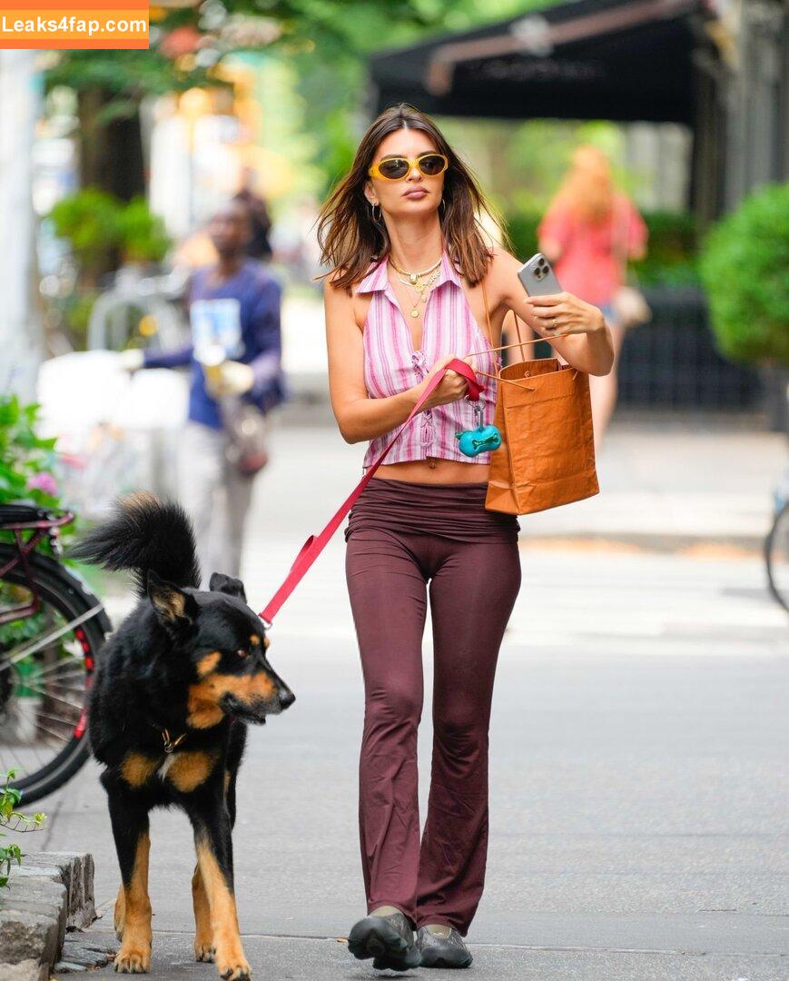 Emily Ratajkowski / emrata leaked photo photo #5538