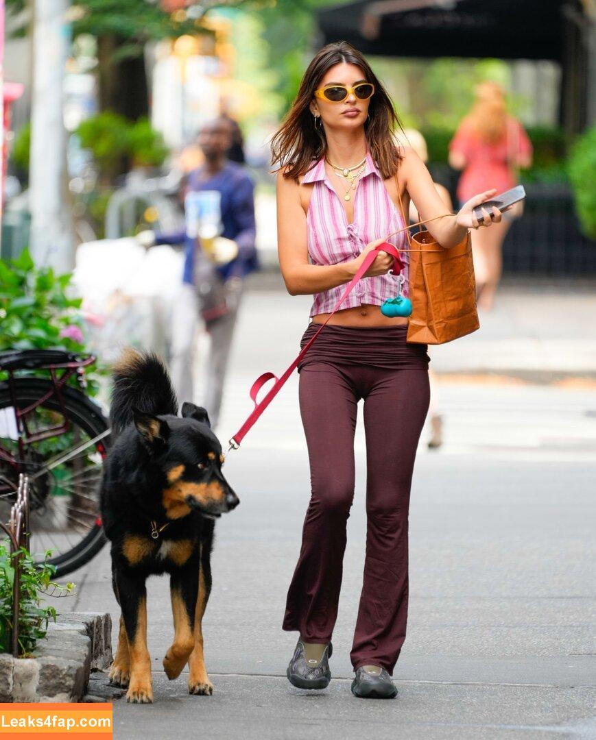 Emily Ratajkowski / emrata leaked photo photo #5539