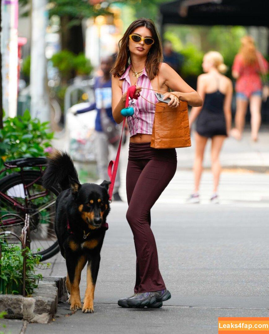 Emily Ratajkowski / emrata слитое фото фото #5540