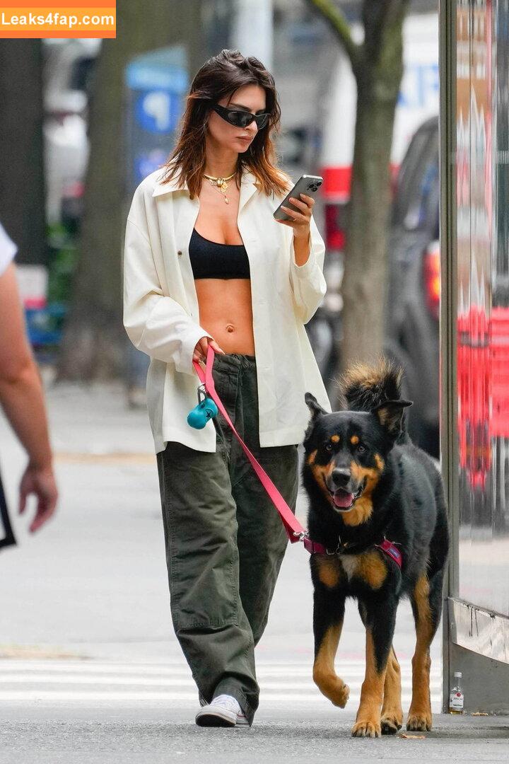 Emily Ratajkowski / emrata слитое фото фото #5580