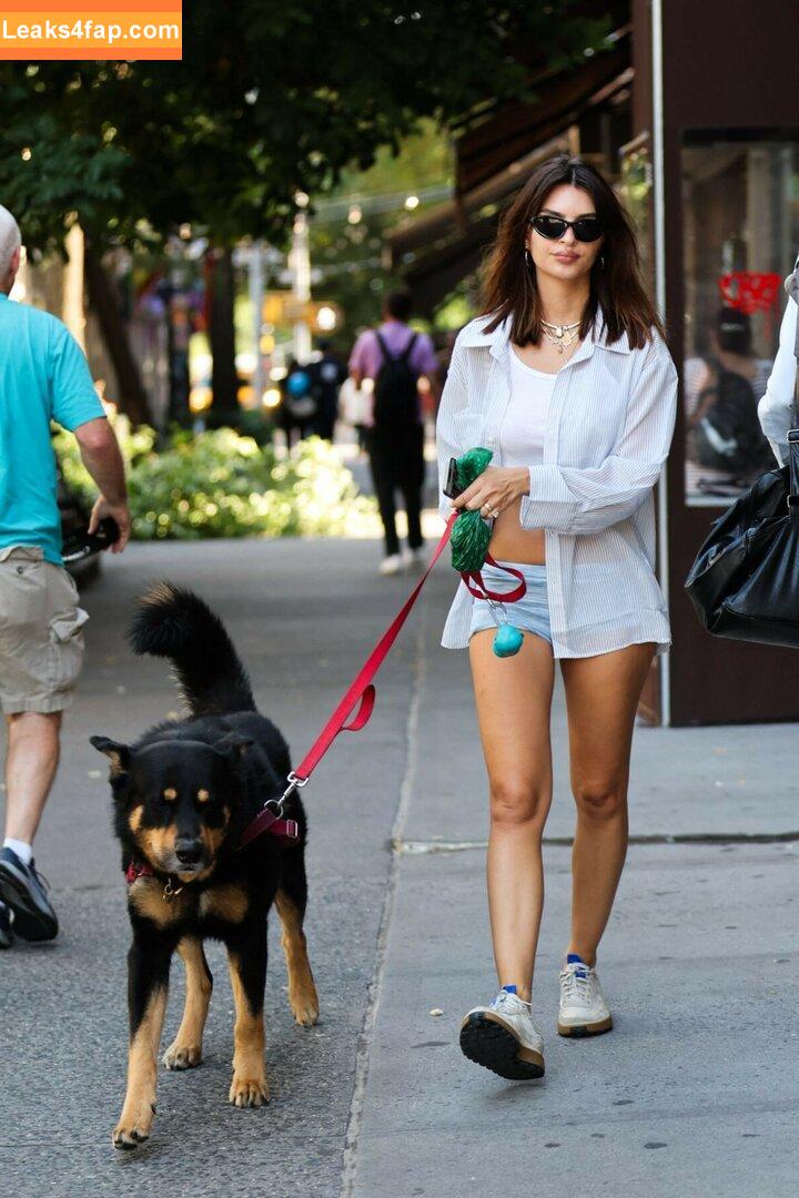 Emily Ratajkowski / emrata слитое фото фото #5611