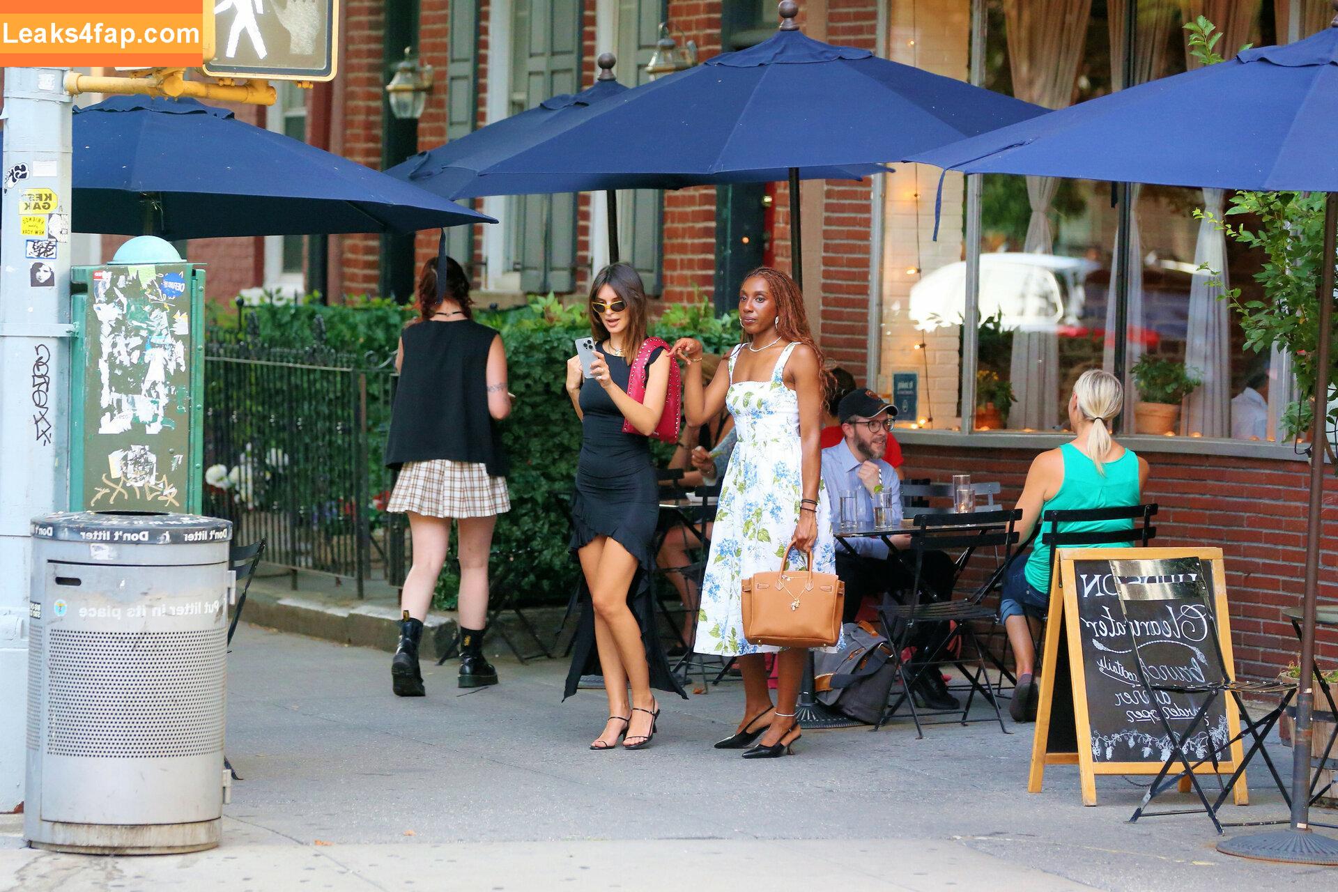 Emily Ratajkowski / emrata слитое фото фото #5647