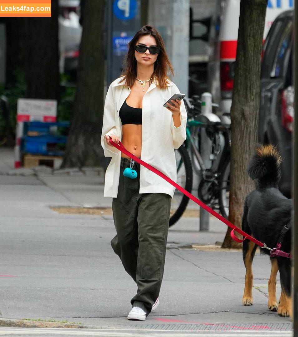 Emily Ratajkowski / emrata слитое фото фото #5723