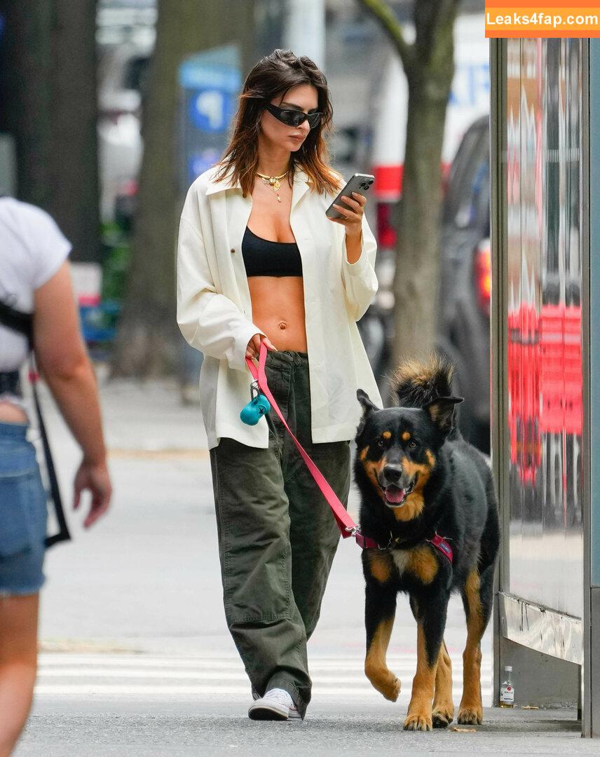 Emily Ratajkowski / emrata слитое фото фото #5727