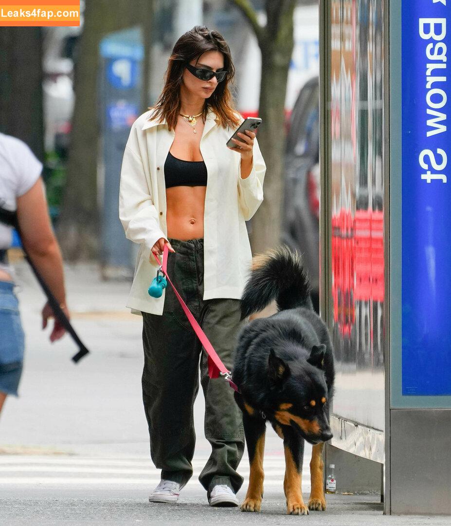 Emily Ratajkowski / emrata слитое фото фото #5728