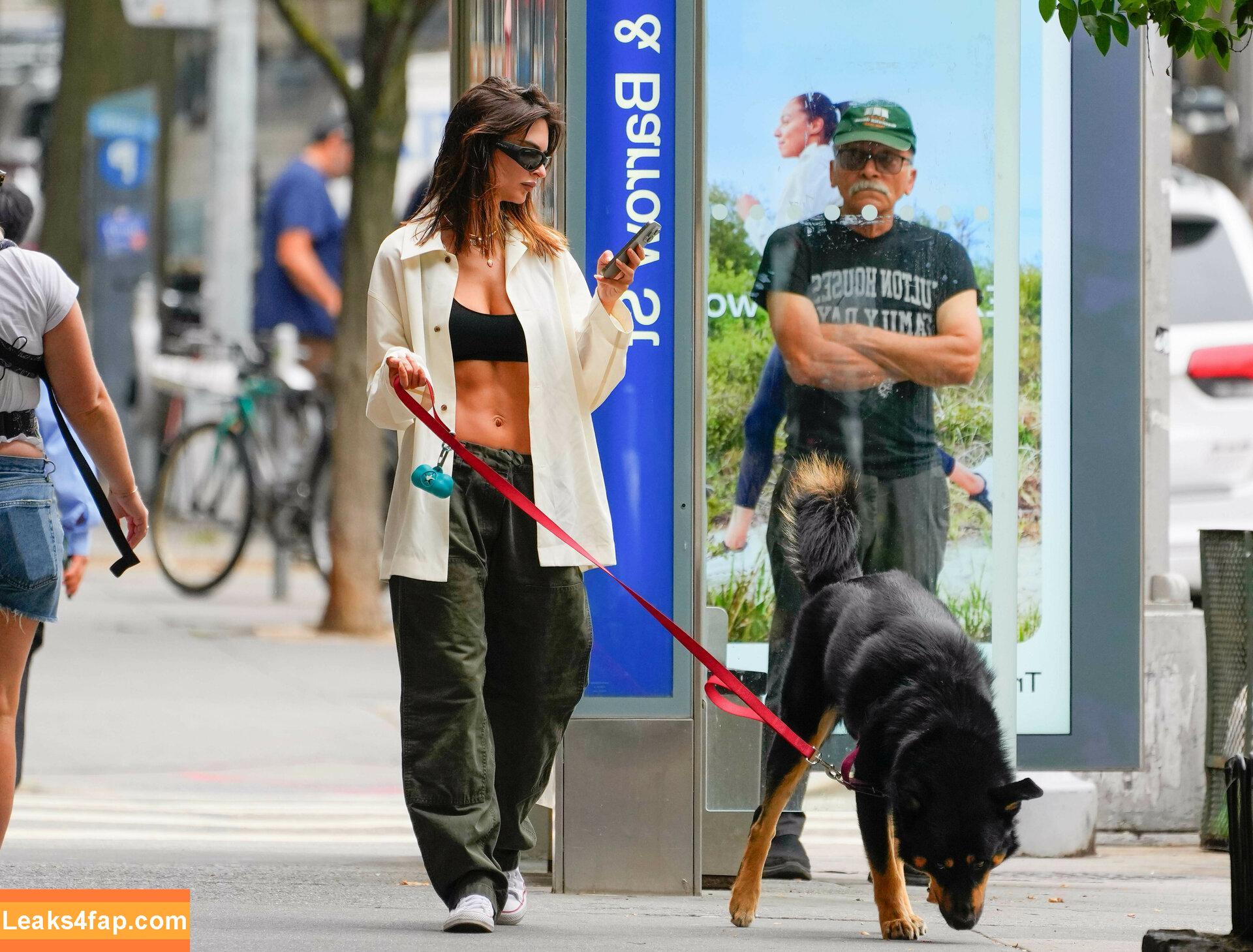 Emily Ratajkowski / emrata leaked photo photo #5729