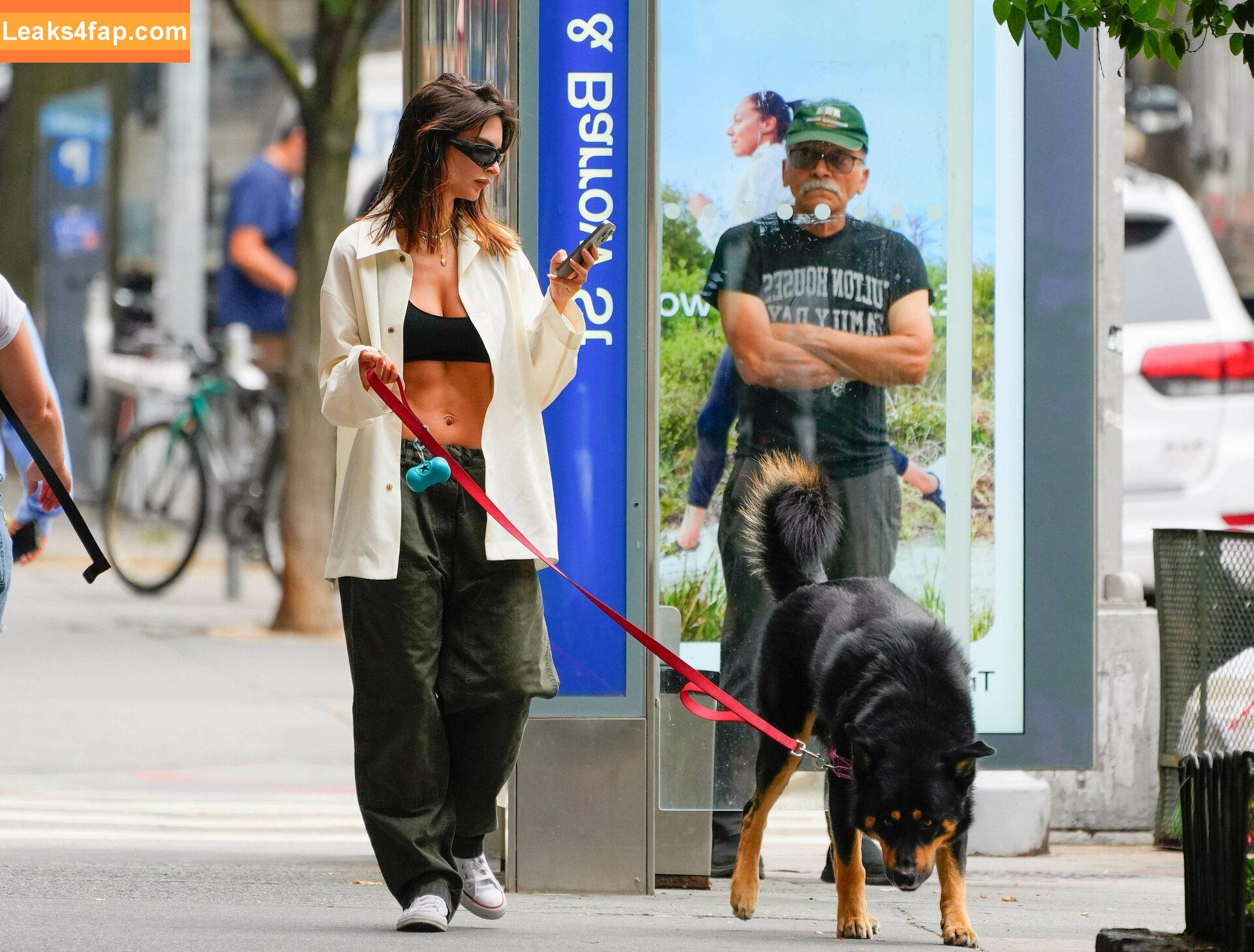 Emily Ratajkowski / emrata слитое фото фото #5730