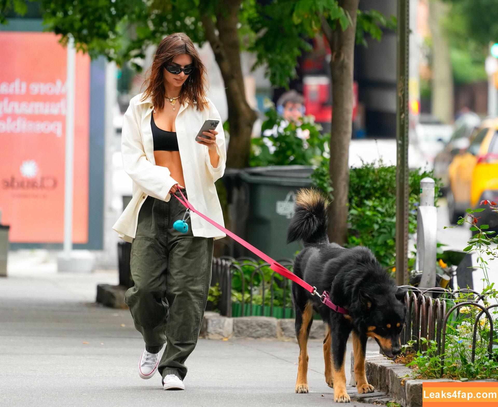 Emily Ratajkowski / emrata leaked photo photo #5732