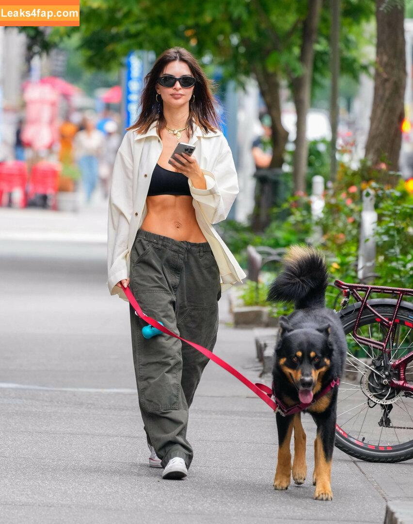 Emily Ratajkowski / emrata слитое фото фото #5743