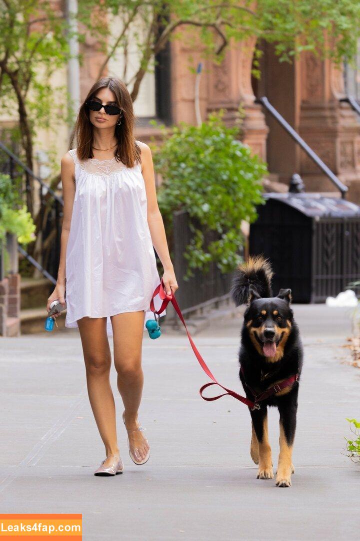 Emily Ratajkowski / emrata слитое фото фото #5818