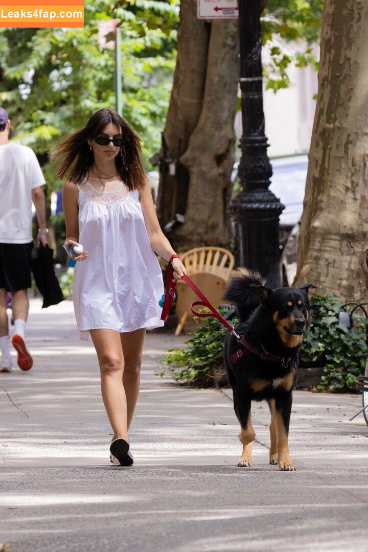 Emily Ratajkowski / emrata слитое фото фото #5829