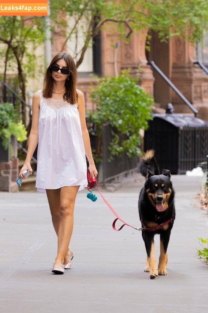 Emily Ratajkowski / emrata слитое фото фото #5830