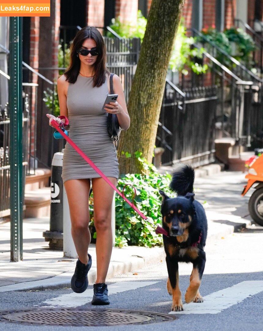 Emily Ratajkowski / emrata слитое фото фото #5854