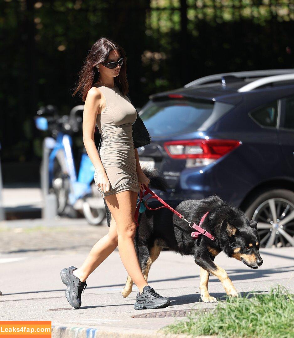 Emily Ratajkowski / emrata слитое фото фото #5868