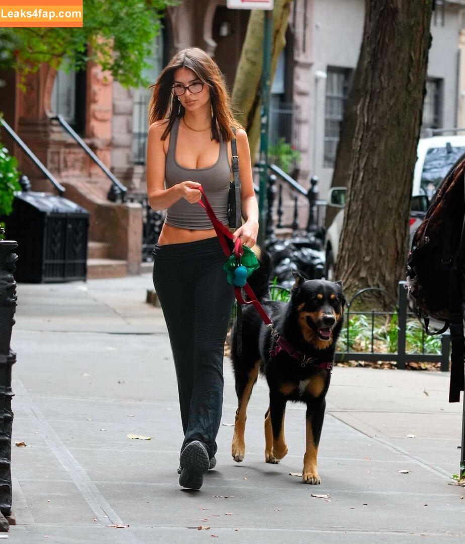 Emily Ratajkowski / emrata слитое фото фото #5910