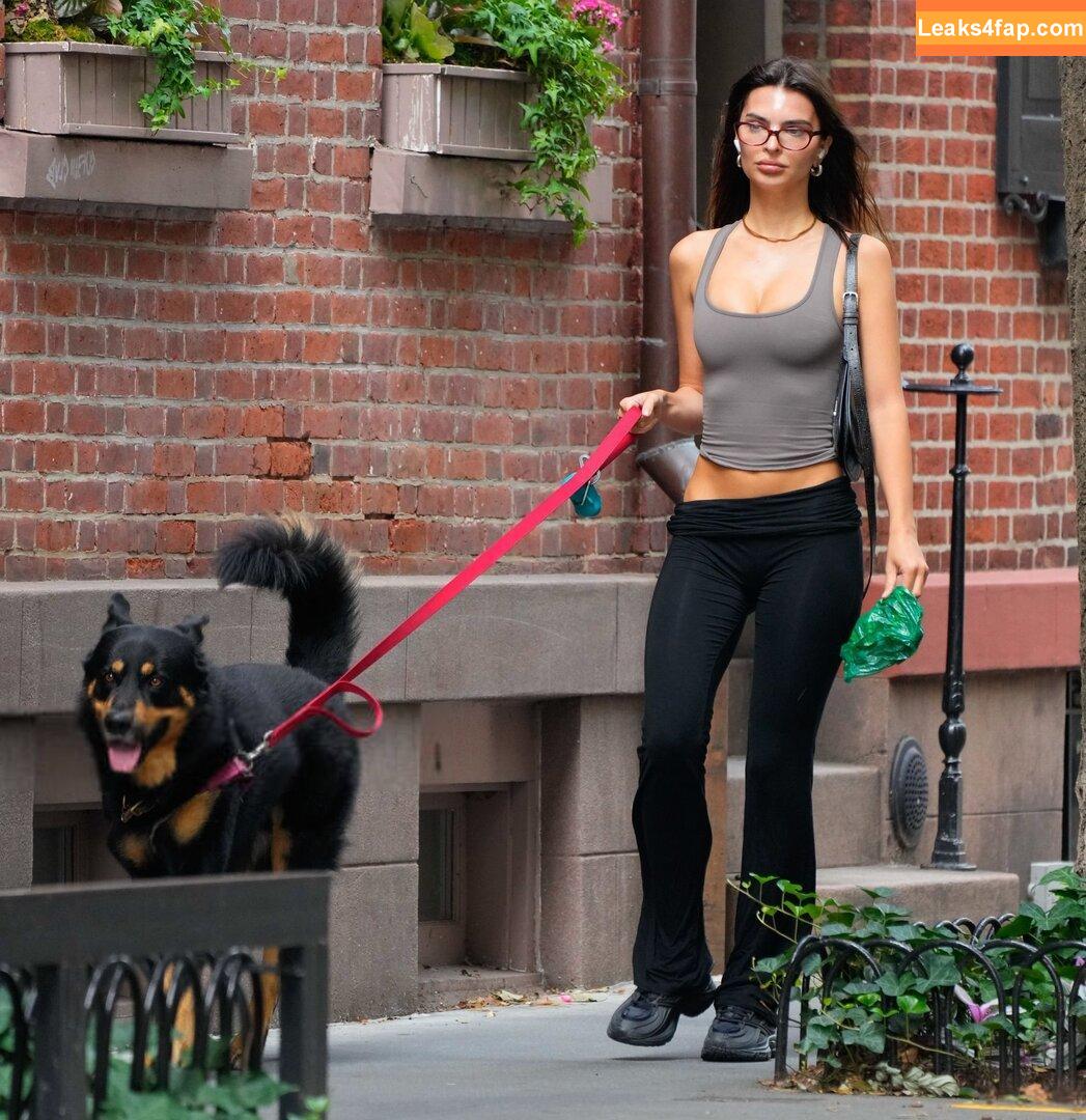 Emily Ratajkowski / emrata слитое фото фото #5919