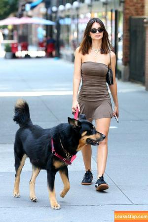 Emily Ratajkowski фото #5470