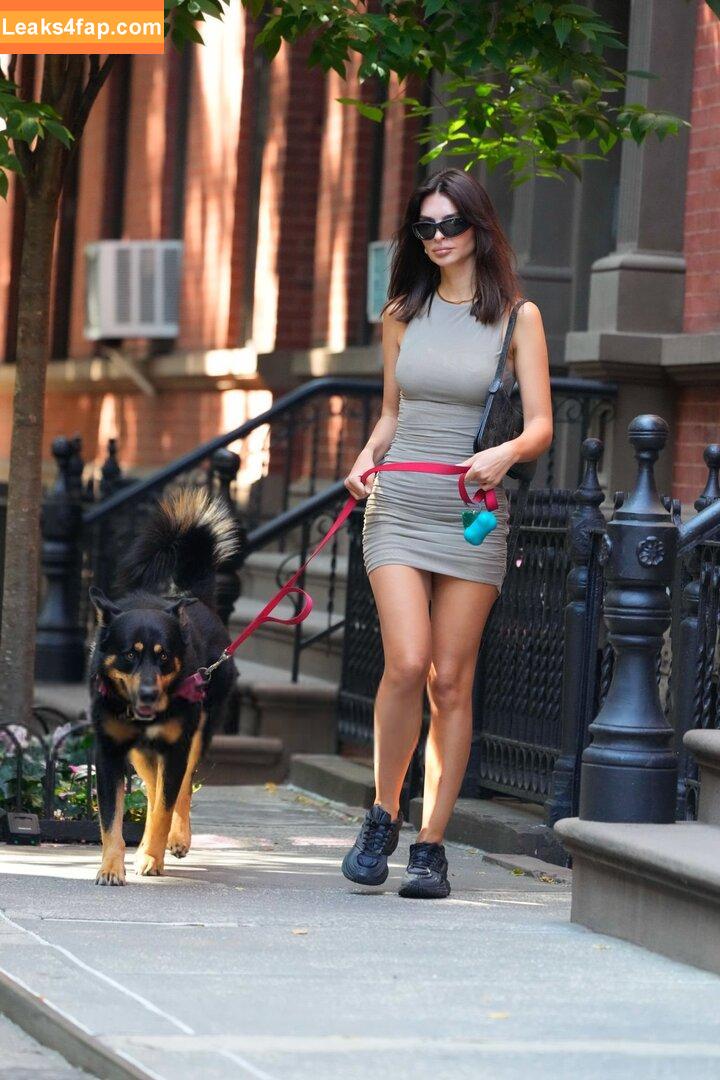 Emily Ratajkowski / emrata слитое фото фото #6238