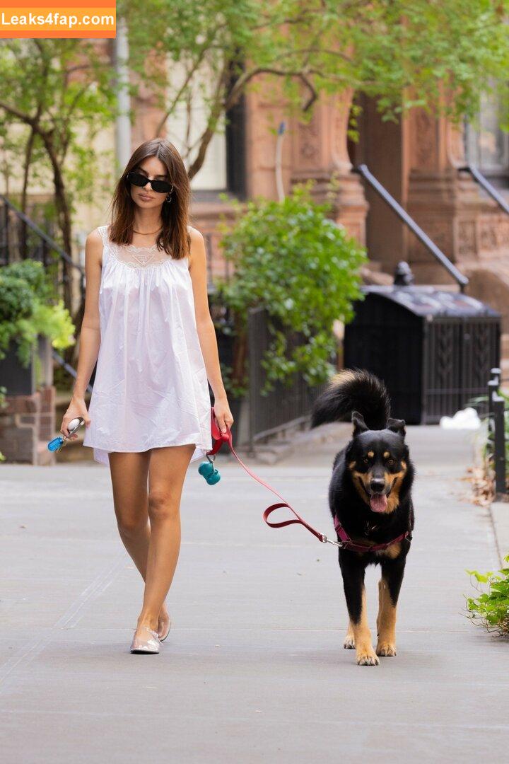 Emily Ratajkowski / emrata слитое фото фото #6255