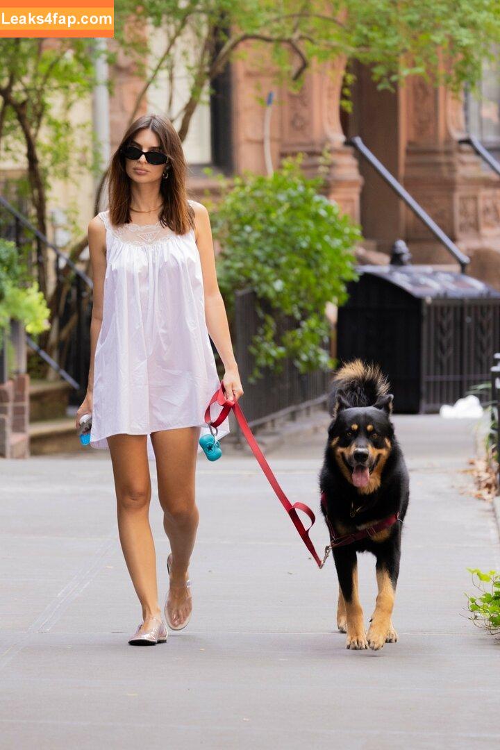 Emily Ratajkowski / emrata слитое фото фото #6256