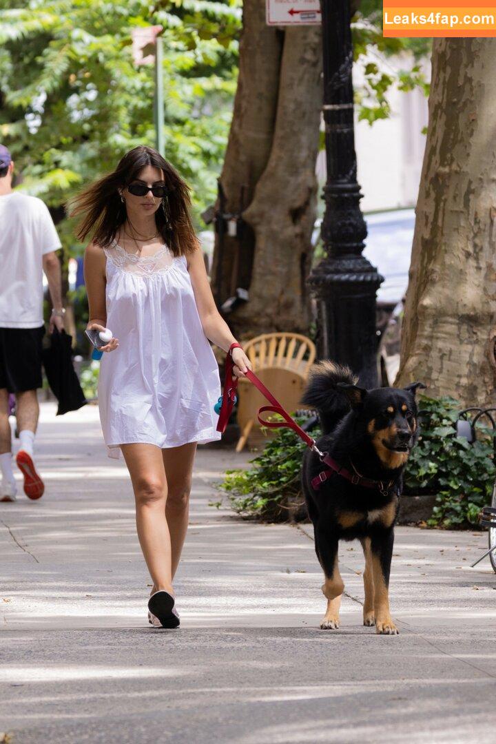 Emily Ratajkowski / emrata leaked photo photo #6258