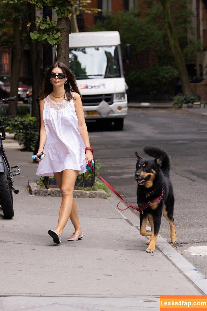 Emily Ratajkowski / emrata слитое фото фото #6262