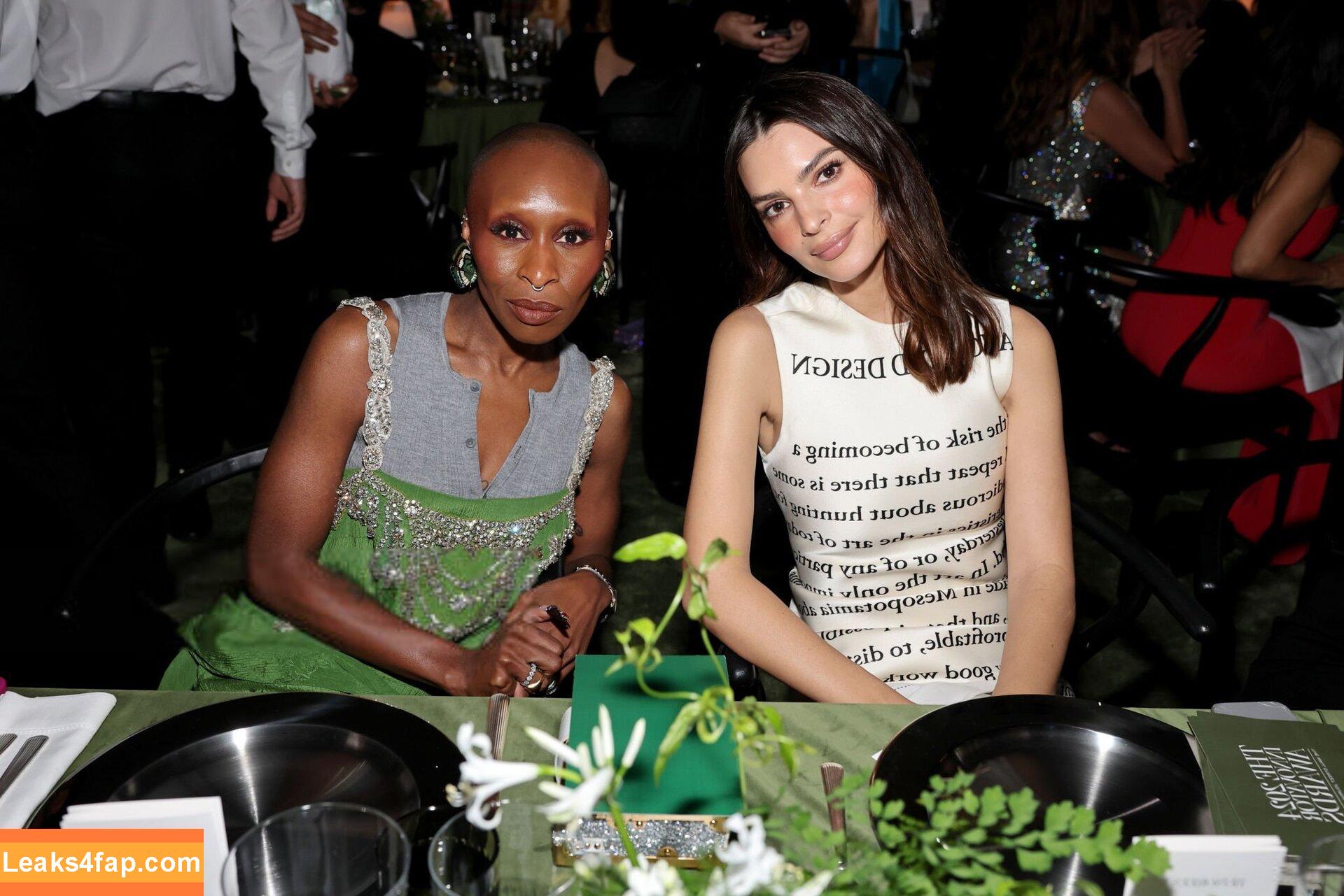 Emily Ratajkowski / emrata слитое фото фото #6363