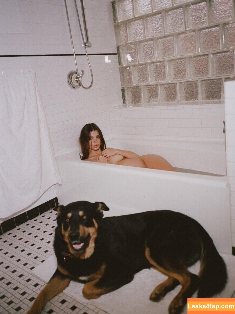 Emily Ratajkowski / emrata leaked photo photo #6978