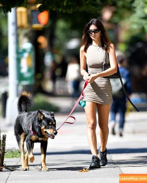 Emily Ratajkowski фото #6216