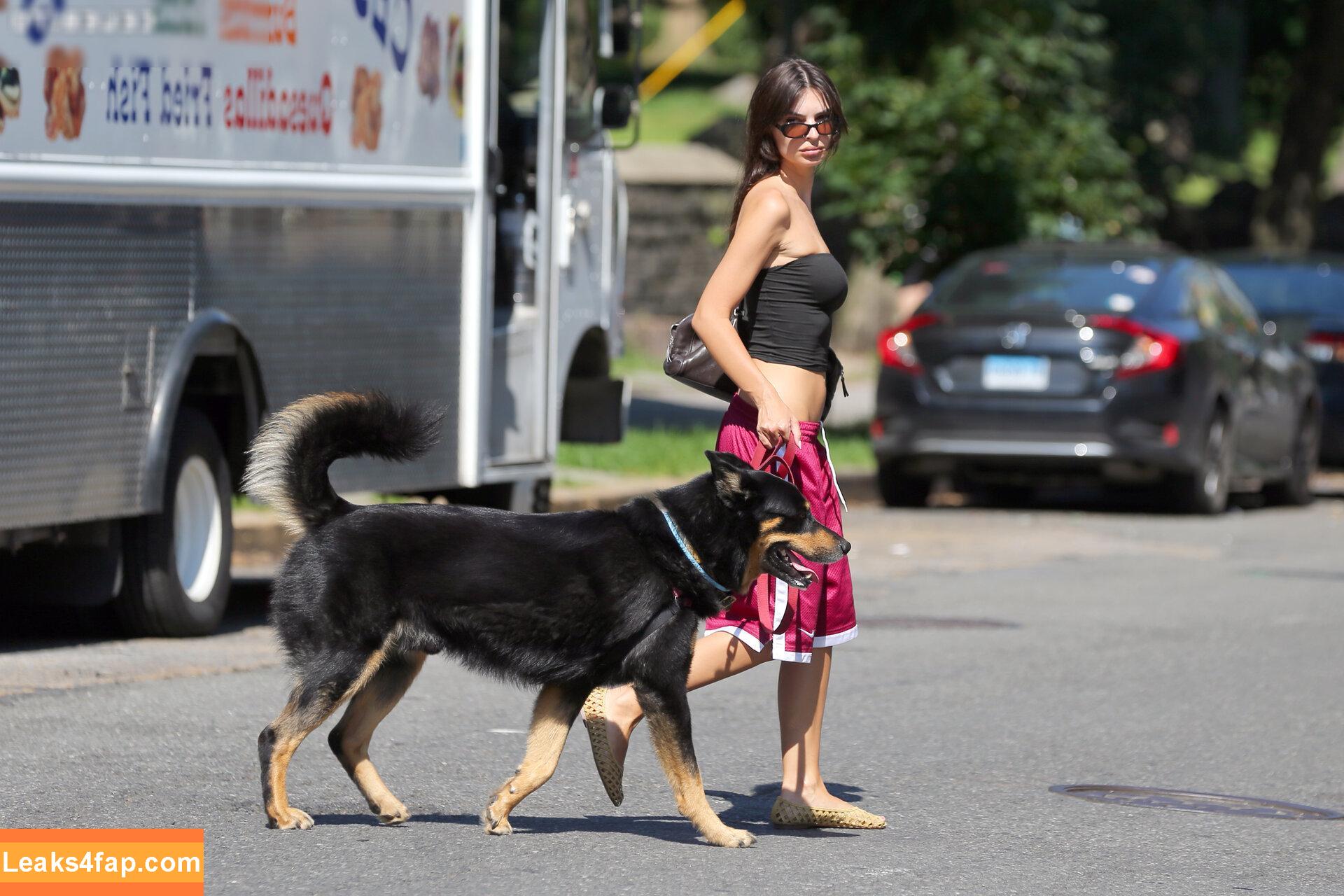 Emily Ratajkowski / emrata leaked photo photo #7088