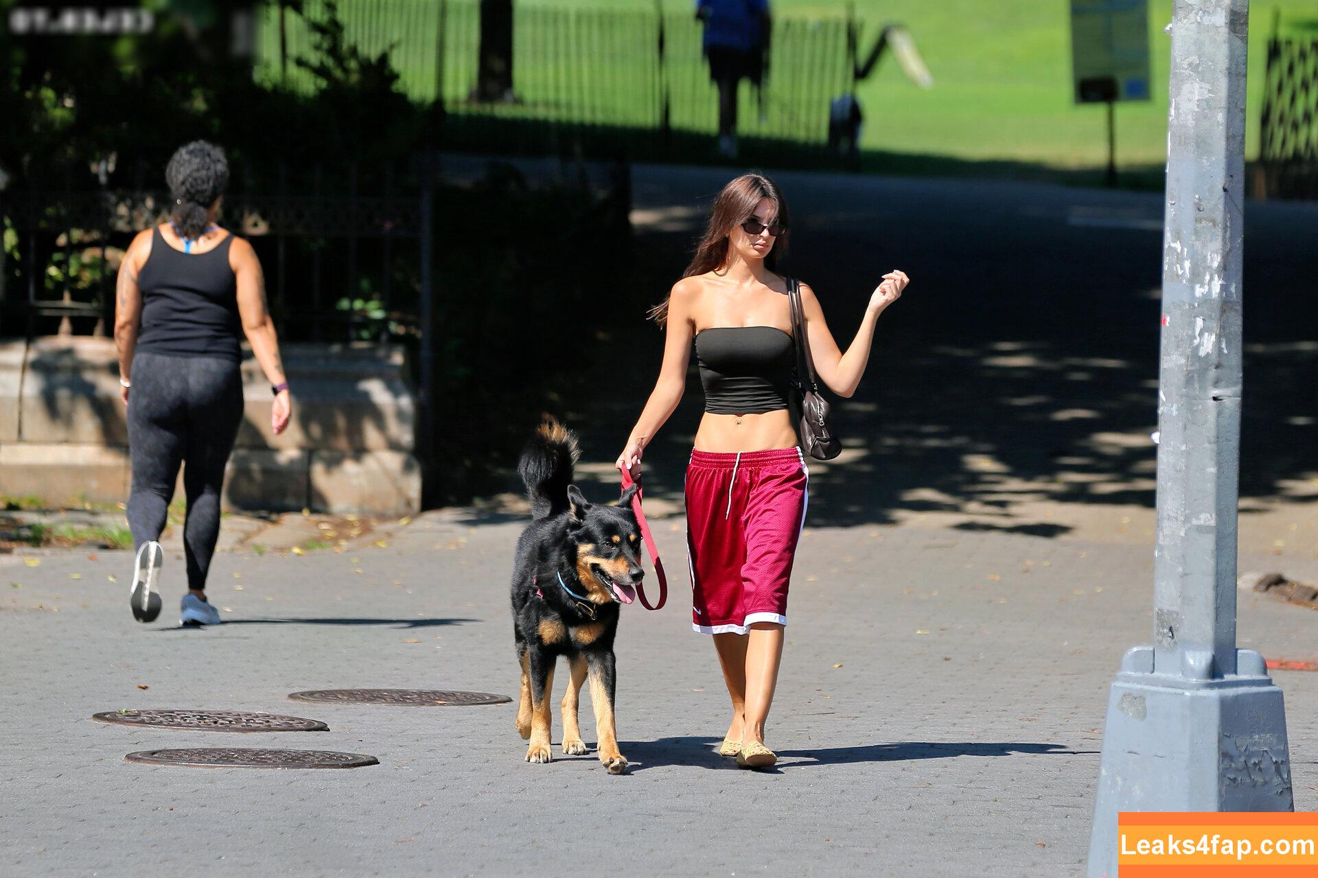Emily Ratajkowski / emrata leaked photo photo #7098