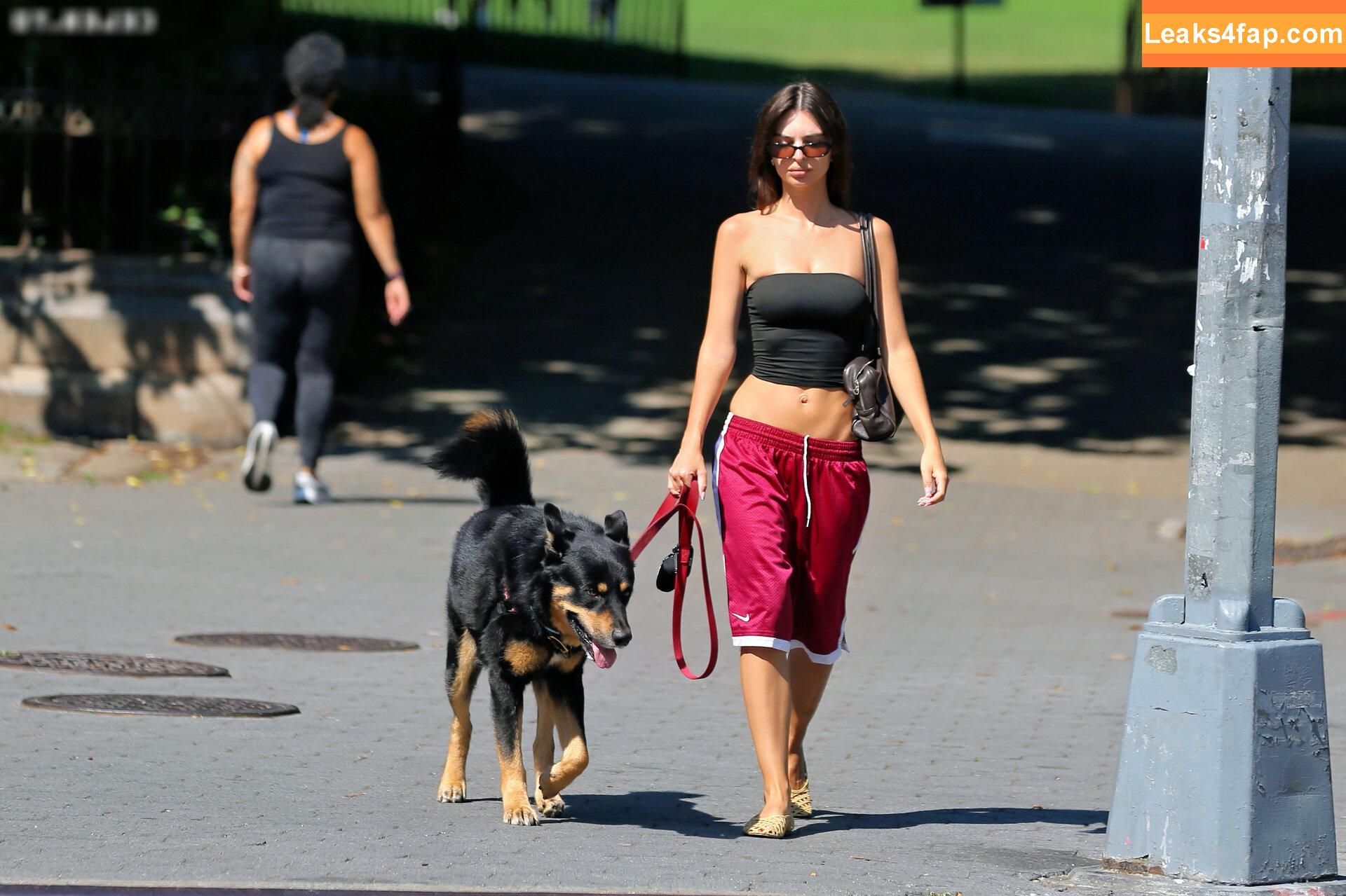 Emily Ratajkowski / emrata leaked photo photo #7099