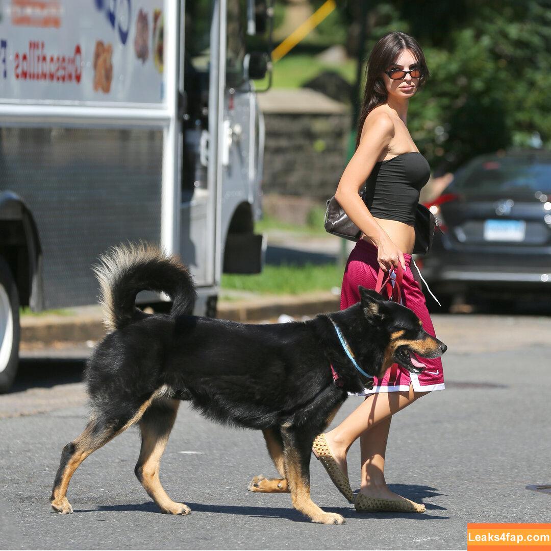 Emily Ratajkowski / emrata leaked photo photo #7103
