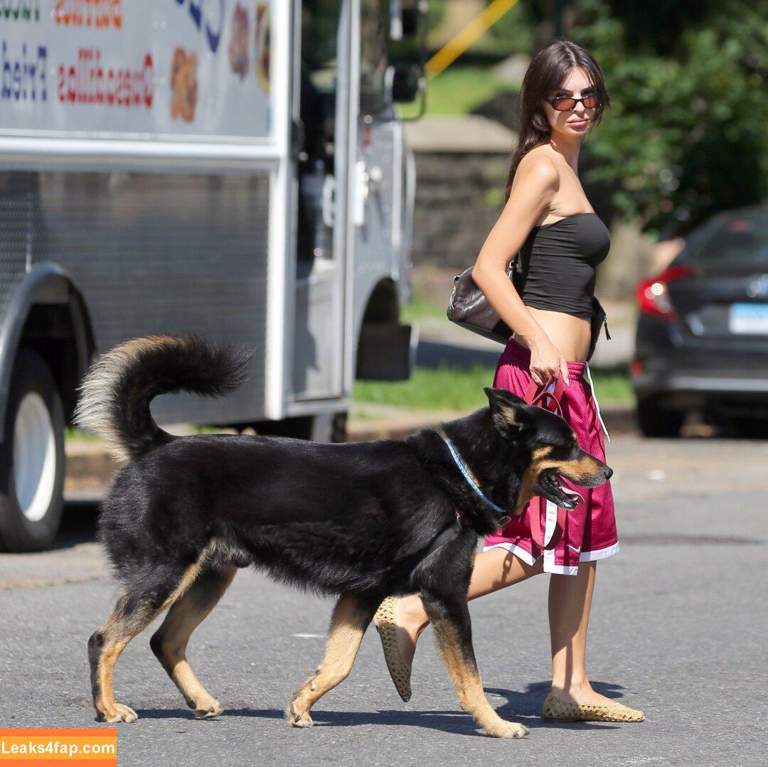 Emily Ratajkowski / emrata leaked photo photo #7132