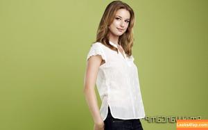 Emily VanCamp photo #0017