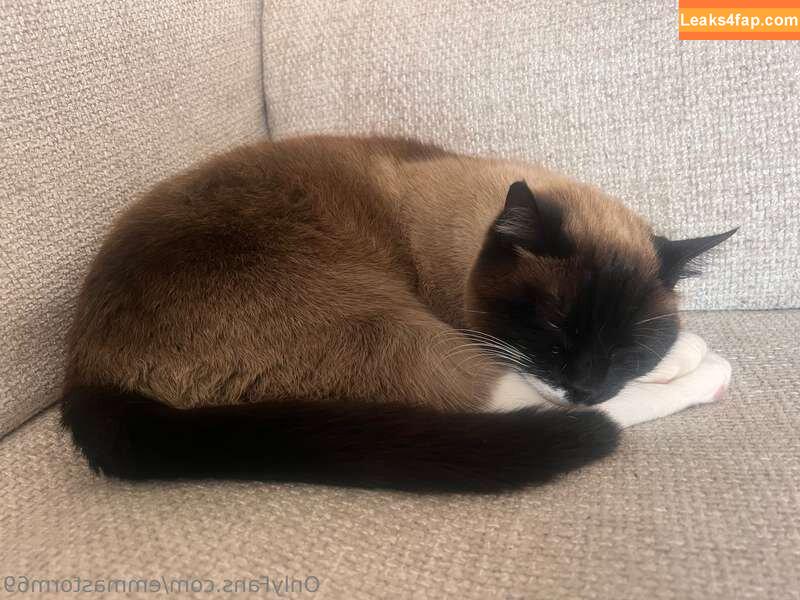 Emma Storm / emmastorm04 / emmastorm69 / emmastorm69_official / https: leaked photo photo #0009