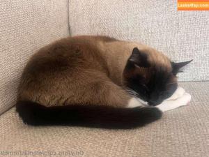 Emma Storm фото #0009