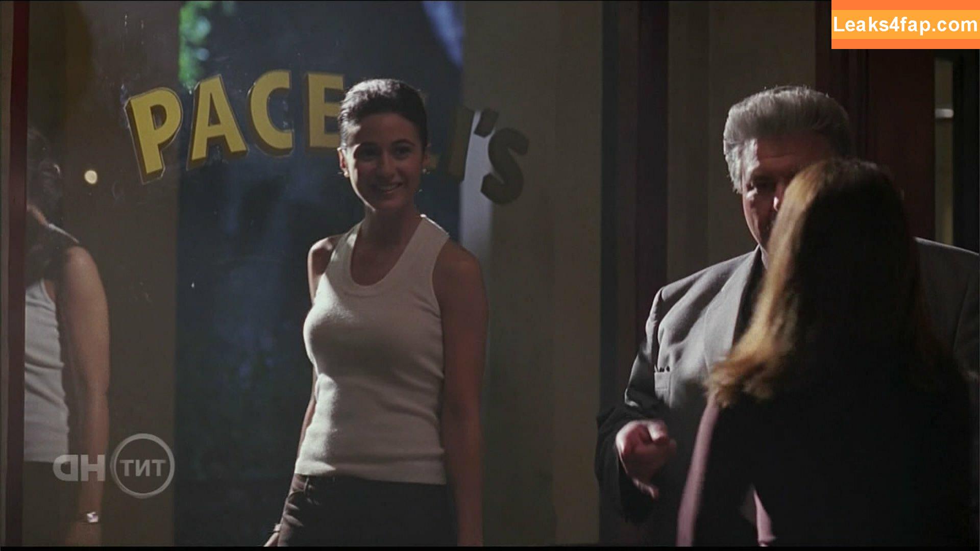 Emmanuelle Chriqui / Emmanuelle / echriqui leaked photo photo #0279