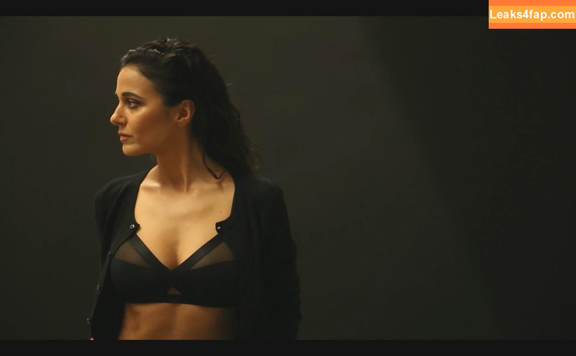 Emmanuelle Chriqui / Emmanuelle / echriqui слитое фото фото #0368