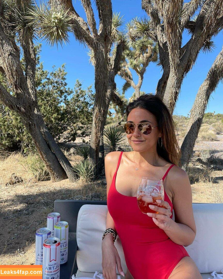 Emmanuelle Chriqui / Emmanuelle / echriqui leaked photo photo #0540