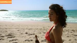 Emmanuelle Chriqui photo #0064