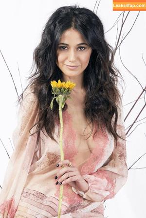 Emmanuelle Chriqui photo #0389