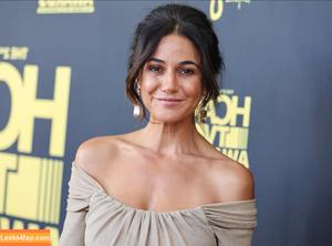 Emmanuelle Chriqui photo #0478