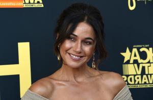 Emmanuelle Chriqui photo #0485