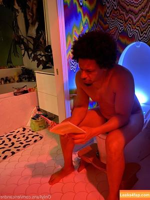 ericandre photo #0005