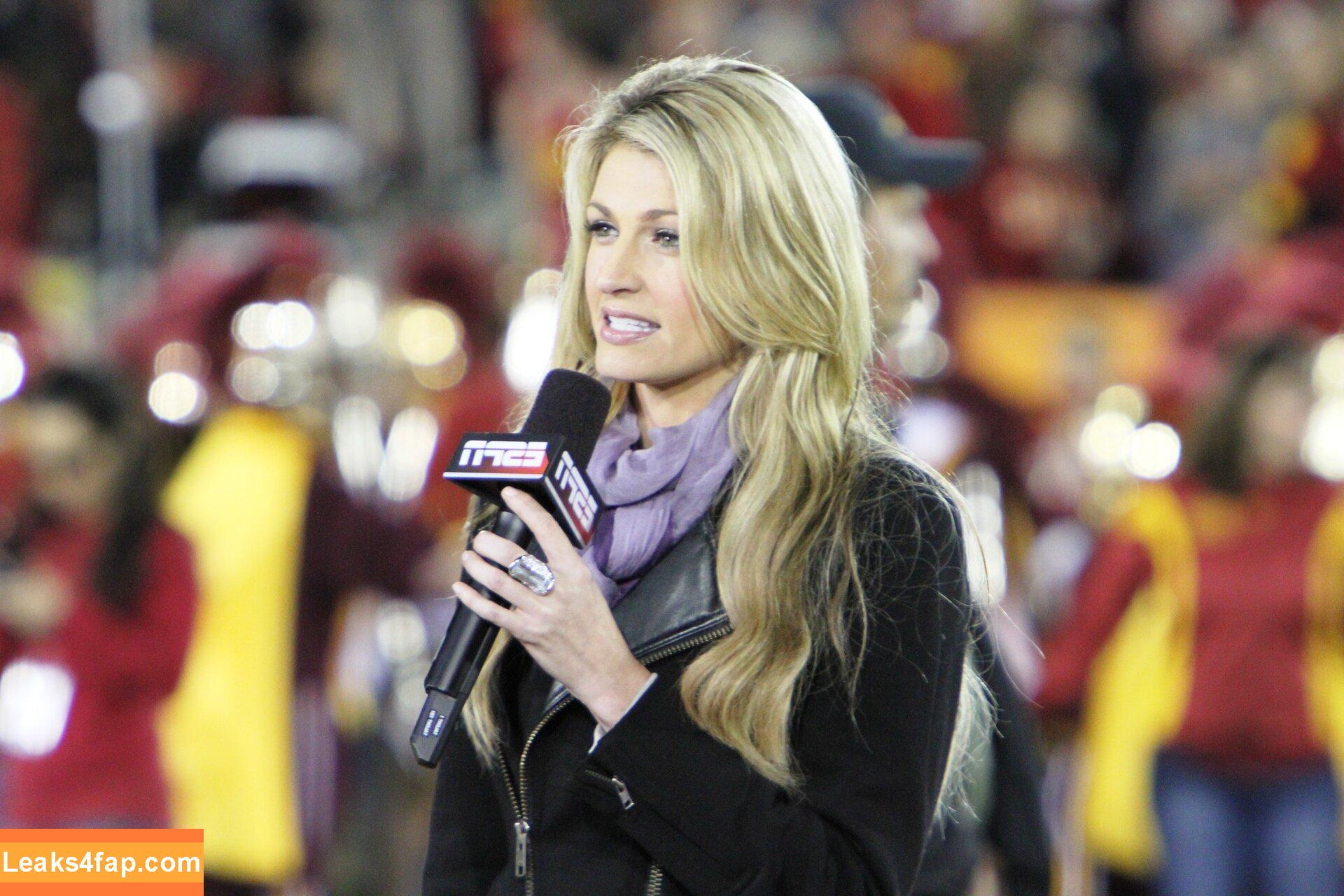 Erin Andrews / erinandrews слитое фото фото #0114